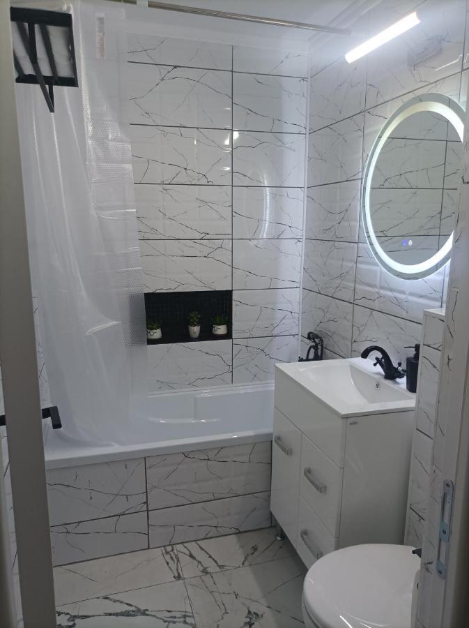 Centrul Vechi Apartment Braila Bagian luar foto